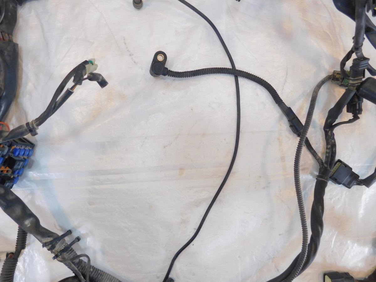 Harley Davidson Electra Glide Classic Road Glide Ultra Main Wire Wiring Harness - C3 Cycle