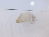 1999-13 Yamaha Royal Star Venture Front Right Fairing Windshield Wind Deflector - C3 Cycle
