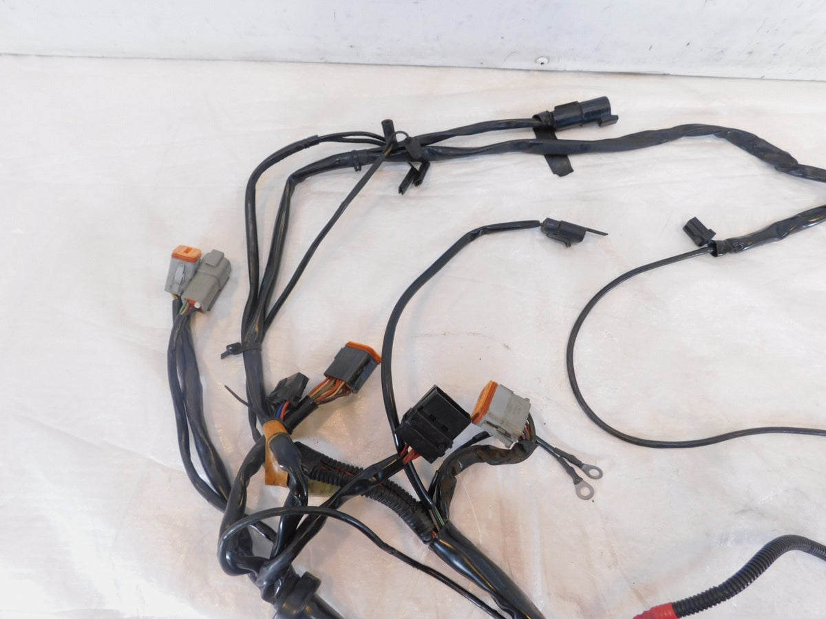 2004 Harley Davidson Touring Road & Electra Glide Main Wiring Wire Harness Loom - C3 Cycle