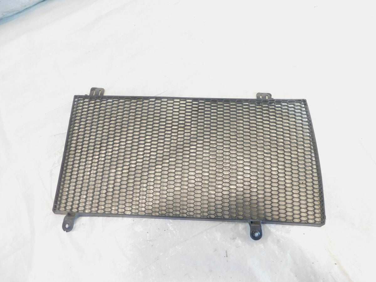 2006-2012 BMW F800GS F800 Engine Cooling Radiator Protector Cover Grill Screen - C3 Cycle