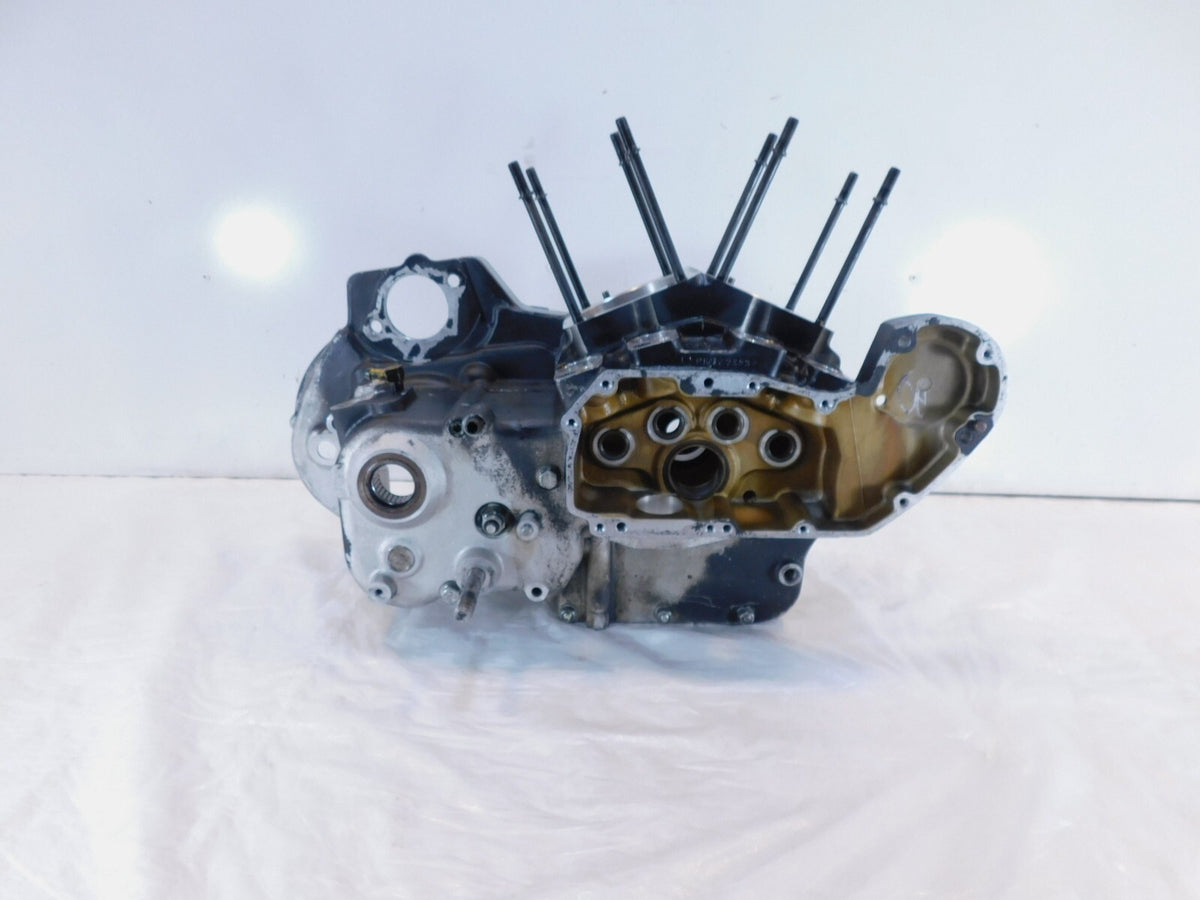Harley Davidson Sportster 883 1100 & 1200 Silver Crankcase Engine Motor Block