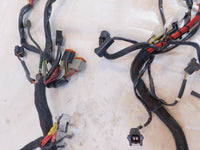 1999 99 Buell X1 Lightning Main Body & Engine Wire Wiring Harness Loom Y0200.KA - C3 Cycle