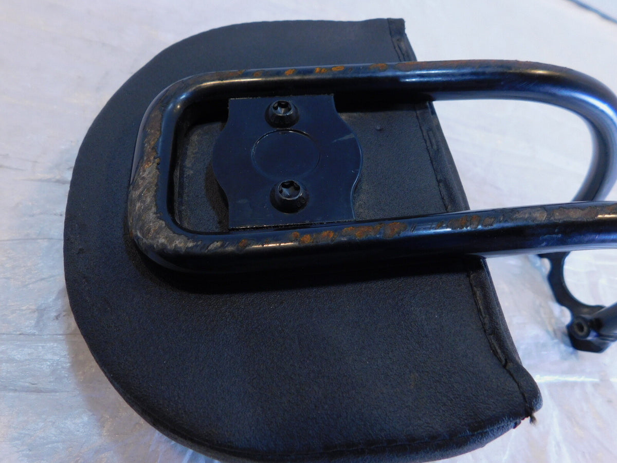 Harley Davidson Sportster S 1250 RH1250S Sissybar Rear Passenger Backrest