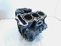 2011-2015 Triumph Tiger 800 800XC XC Engine Motor Block Crankcase Set - T1161849 - C3 Cycle