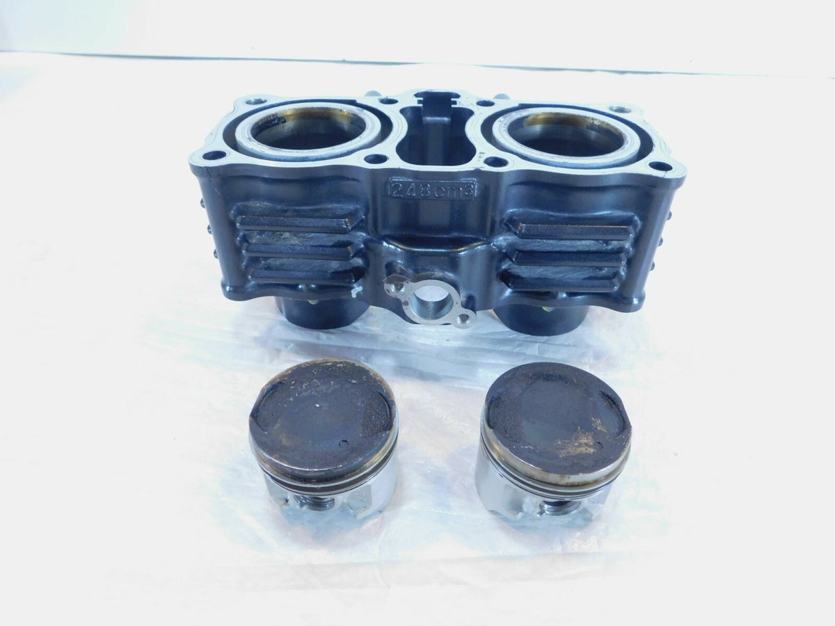 2018 & 2019 Suzuki GSX250R GSX 250R Engine Motor Cylinder Barrel Jugs & Pistons - C3 Cycle
