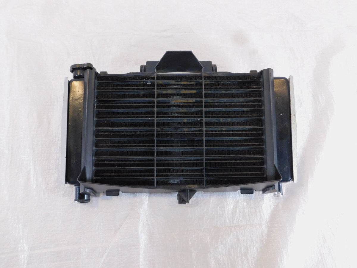 2004 2005 2006 Yamaha FZ6 FZ6S FZS6 Engine Motor Water Cooling Radiator & Grill - C3 Cycle