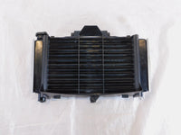 2004 2005 2006 Yamaha FZ6 FZ6S FZS6 Engine Motor Water Cooling Radiator & Grill - C3 Cycle