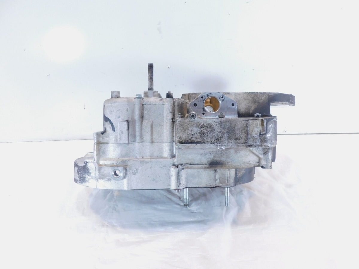 Harley Davidson Sportster 883 1100 & 1200 Silver Crankcase Engine Motor Block