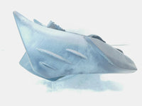 2001-2005 BMW F650CS F650 CS Gas Petrol Fuel Tank Reservoir - 16117658475 - C3 Cycle
