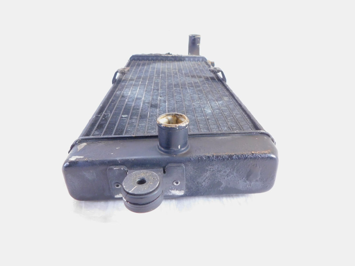 Honda VT750 VT750C Shadow 750 ACE Deluxe & Spirit Front Engine Coolant Radiator - C3 Cycle
