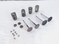 Harley Davidson Street Glide Dyna & Softail Intake & Exhaust Valves & Springs - C3 Cycle