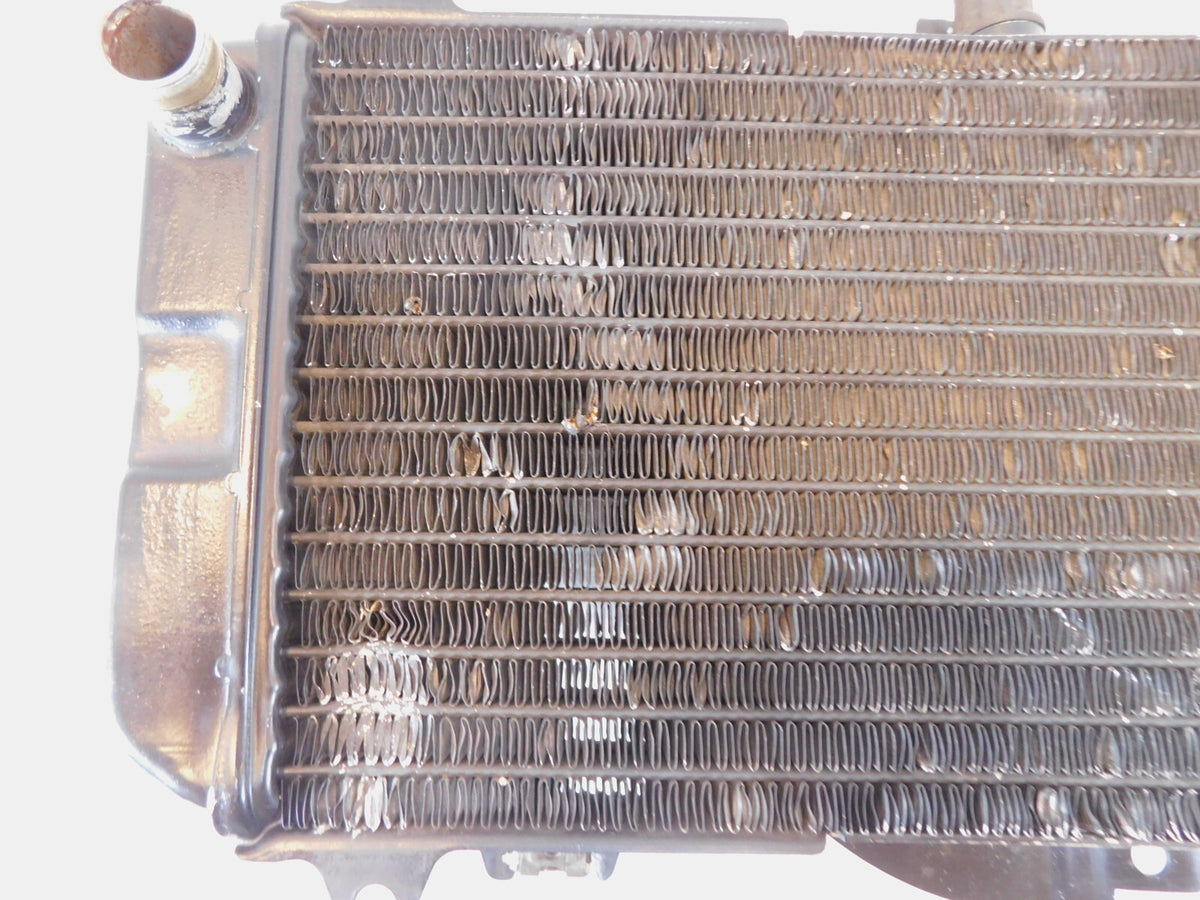 1989-1999 Yamaha FZR600R FZR600 Front Engine Cooling Coolant Radiator - C3 Cycle