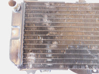 1989-1999 Yamaha FZR600R FZR600 Front Engine Cooling Coolant Radiator - C3 Cycle