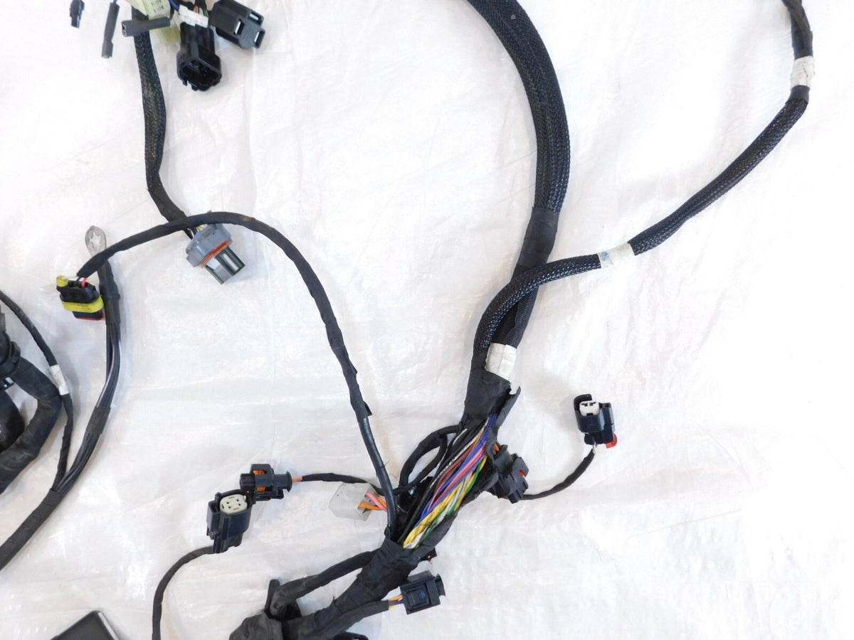 2018 18 Indian Scout Sixty & 1200 Main Electrical Wiring Harness Wire Loom Cable - C3 Cycle