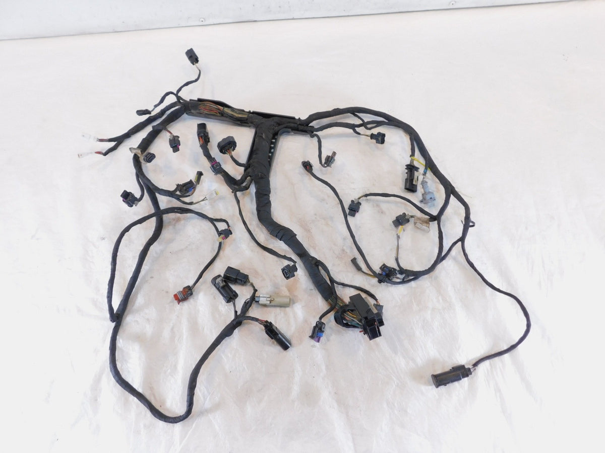 Harley Davidson Pan America RA1250 1250 1250S Engine Wire Wiring Harness Loom - C3 Cycle