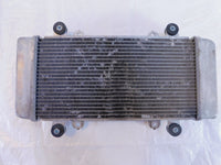 2013-2017 Kawasaki EX300 Ninja 300 Front Engine Motor Cooling Coolant Radiator - C3 Cycle
