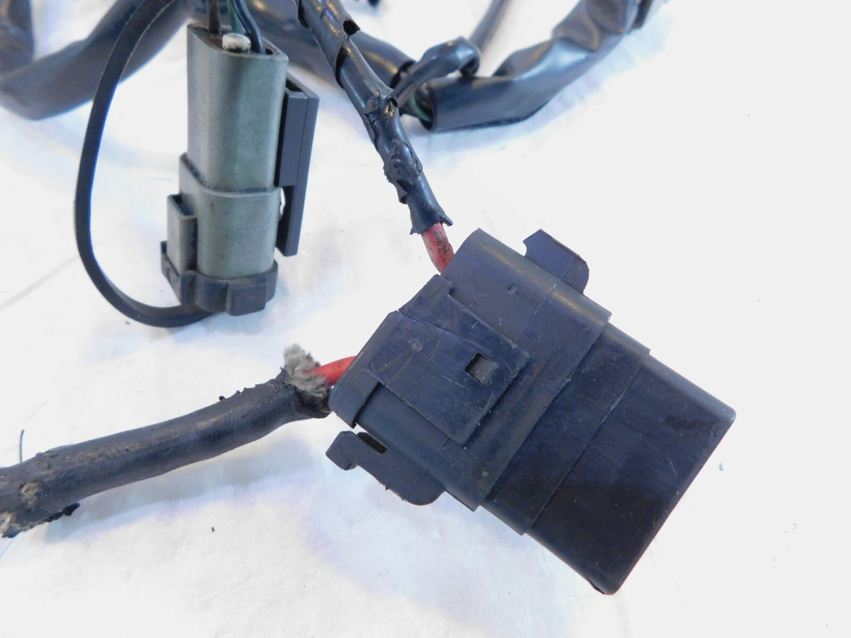 Harley Davidson Sportster 883 & 1200 Main Wiring Wire Harness Assembly 69200317 - C3 Cycle