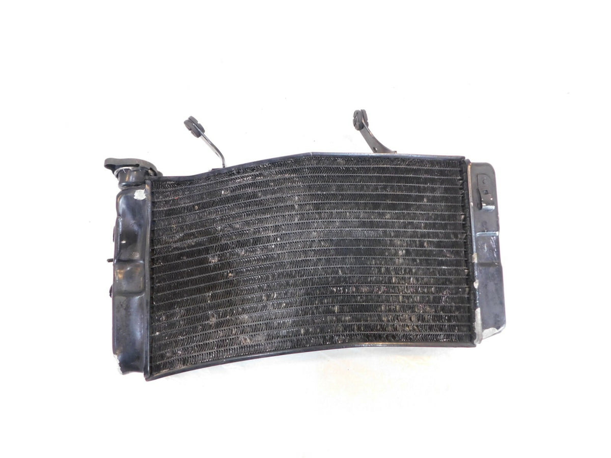 2002-2009 & 2012 Suzuki V-Strom DL1000 1000 Radiator Coolant Cooling - No Leaks - C3 Cycle