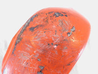 Harley Davidson Sportster 883 & 1200 Orange Left Electrical Side Cover Trim - C3 Cycle