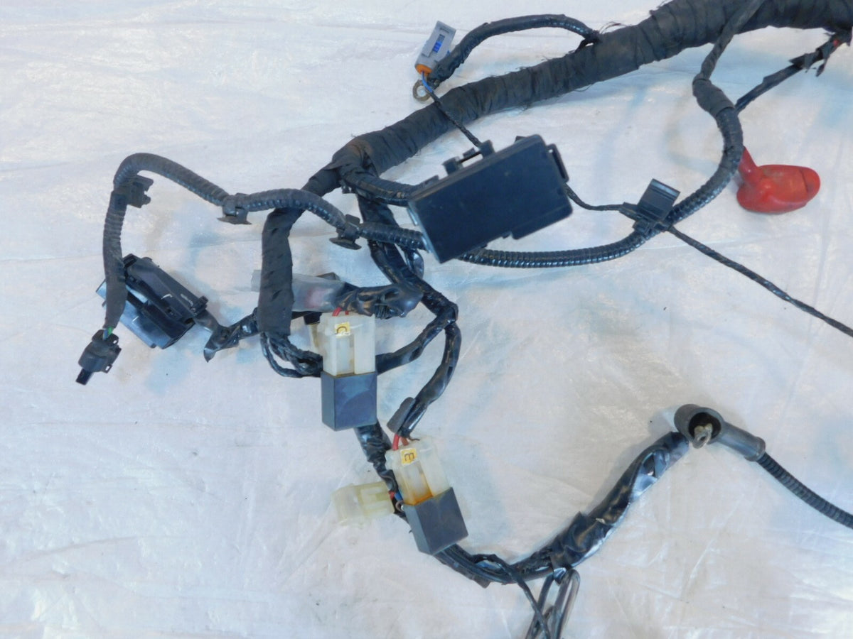 2017-2020 17-20 BMW G310R G310 Main Electrical Wire Harness Wiring Loom - C3 Cycle