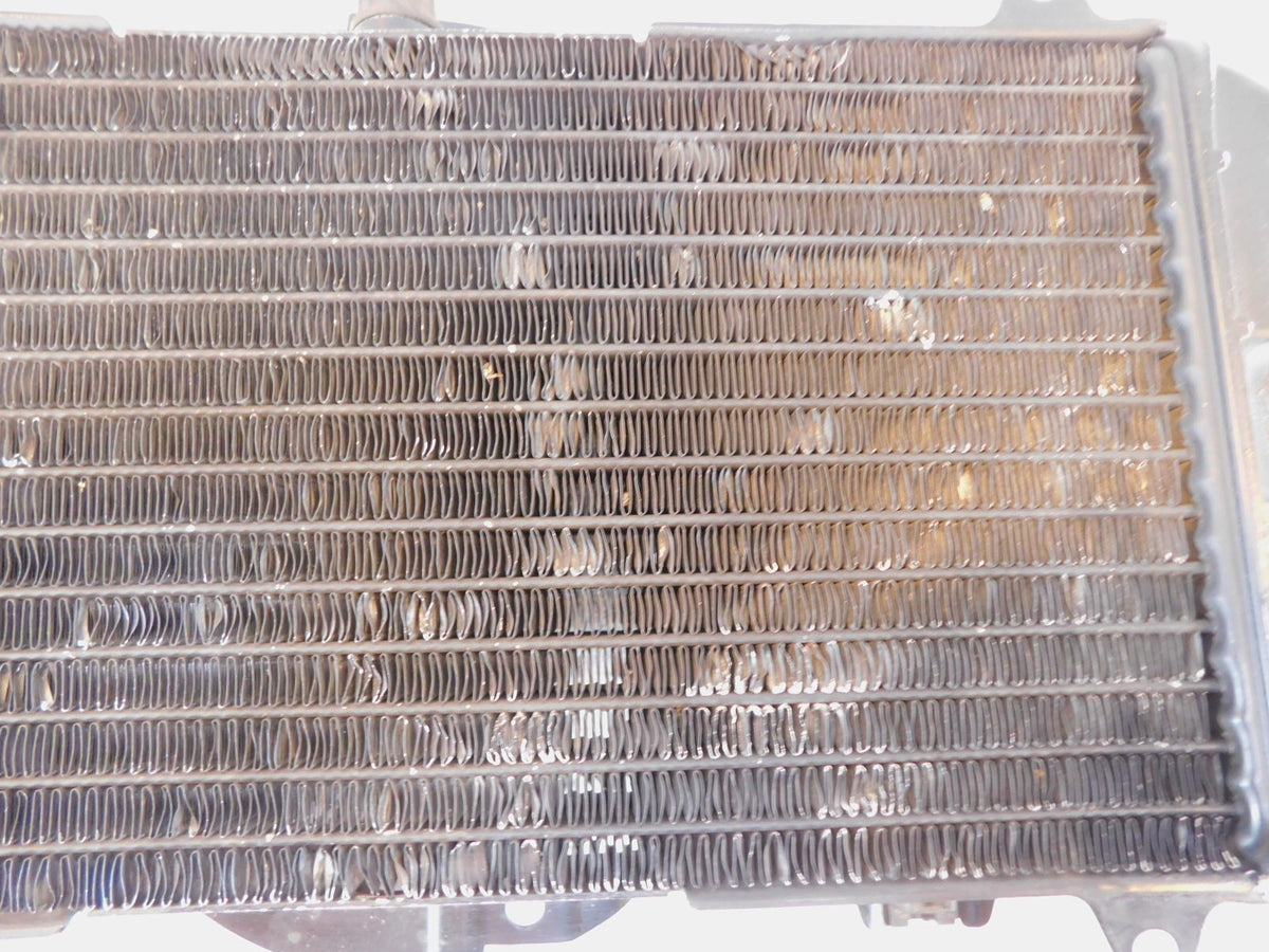 1989-1999 Yamaha FZR600R FZR600 Front Engine Cooling Coolant Radiator - C3 Cycle