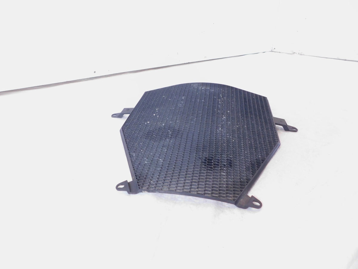 BMW K1200R K1300 K1300S K1300GT K1600GTL K1600GT Radiator Protective Grill Cover