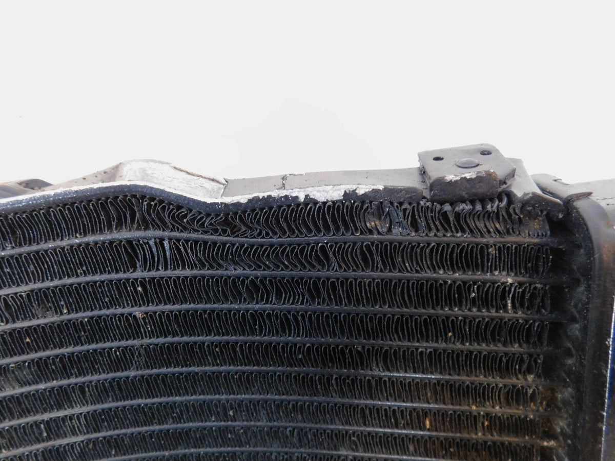 Honda CBR900RR CBR929RR FireBlade Engine Motor Water Cooling Coolant Radiator - C3 Cycle