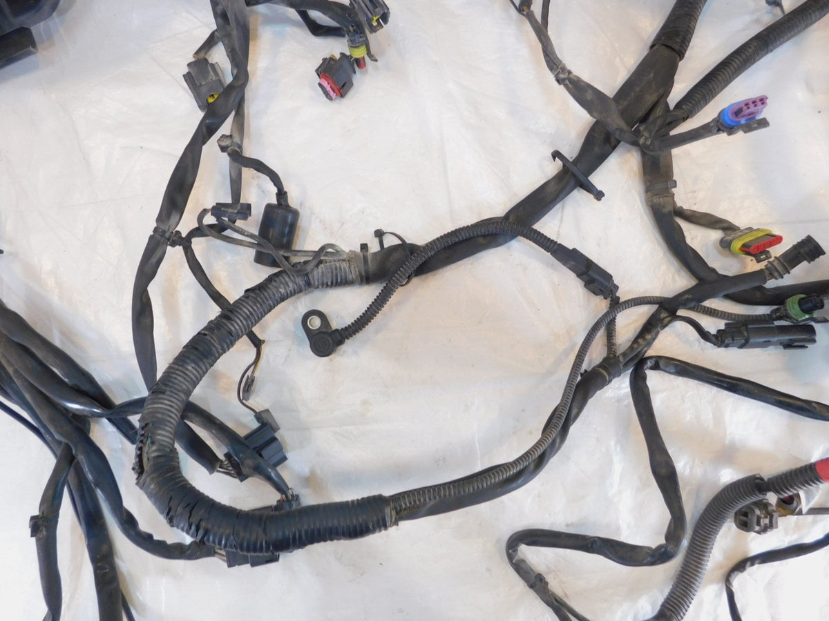 Harley Davidson Electra Glide Classic Road Glide Ultra Main Wire Wiring Harness - C3 Cycle