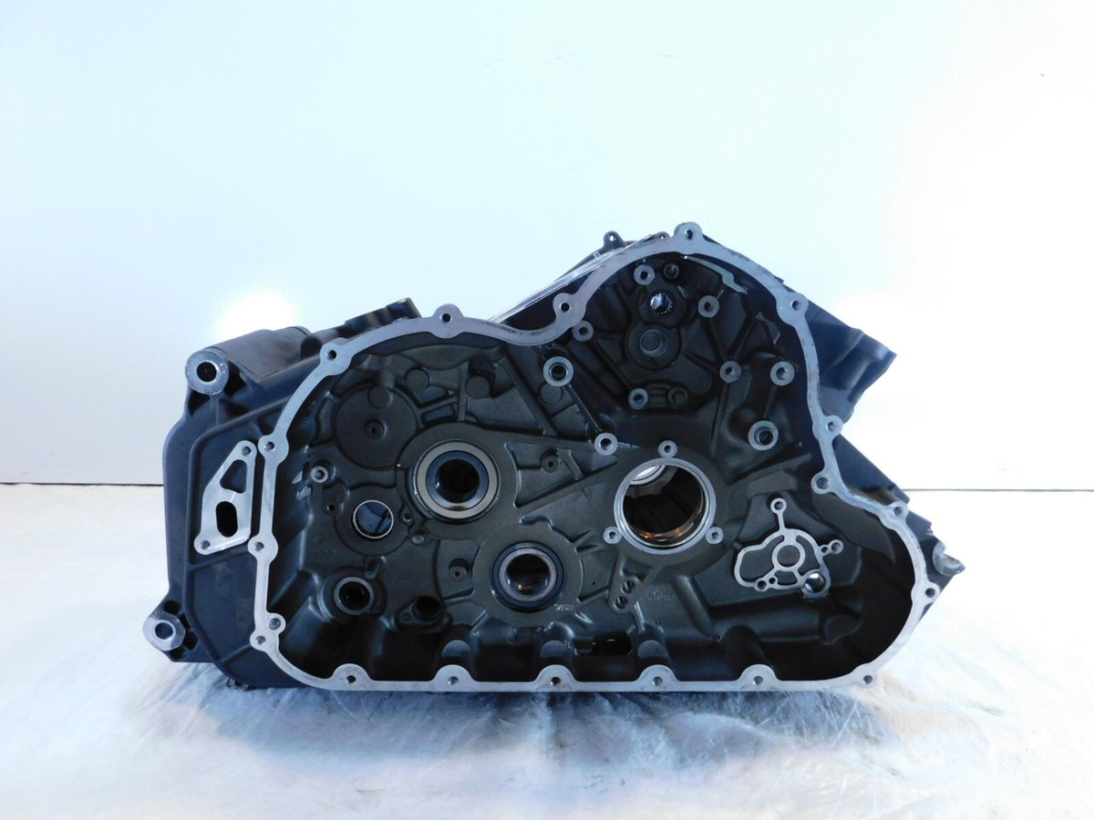 2015-2018 Indian Scout 1200 Black Engine Motor Crankcase Crank Case 1205884-687 - C3 Cycle