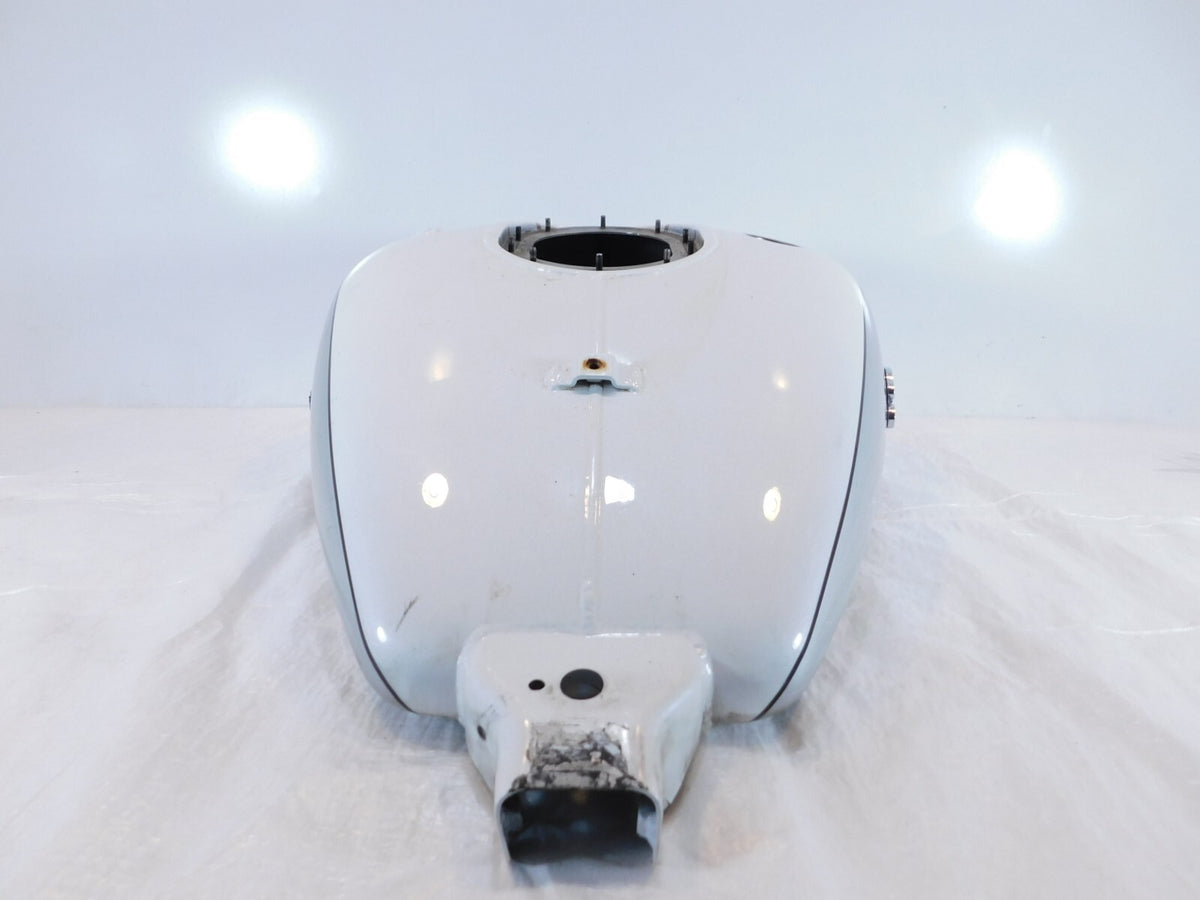 18-19 Indian Roadmaster Elite White & Silver Fuel Gas Petrol Tank Reservoir Cell - C3 Cycle