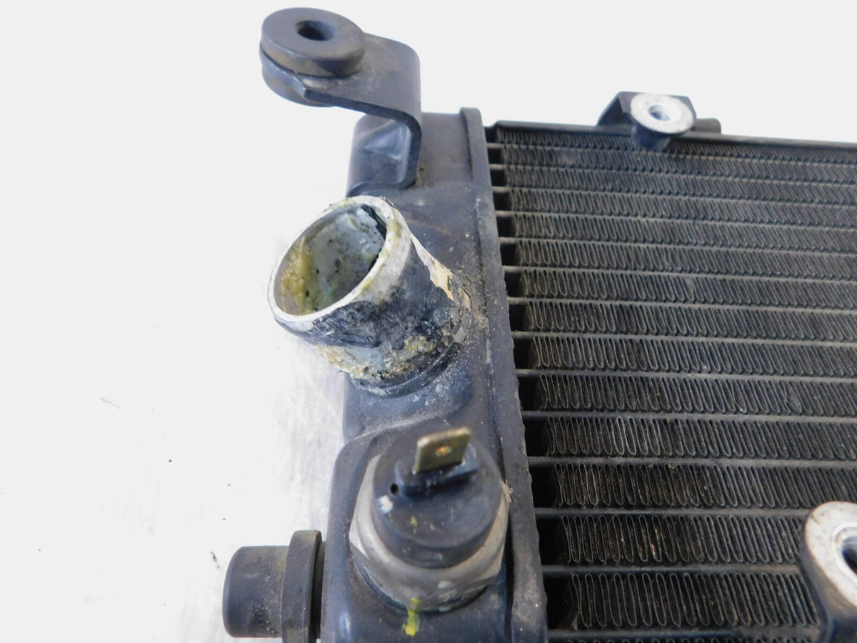 1999-2003 Honda VT600CD Shadow 600 Deluxe Black Front Engine Coolant Radiator - C3 Cycle
