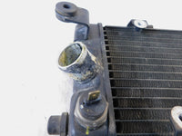 1999-2003 Honda VT600CD Shadow 600 Deluxe Black Front Engine Coolant Radiator - C3 Cycle