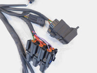 00-03 Ducati Sport Touring ST4 Main Electrical Wiring Harness Wire Cable Loom - C3 Cycle