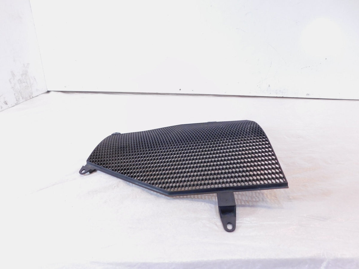 BMW K1200R K1300 K1300S K1300GT K1600GTL K1600GT Radiator Protective Grill Cover