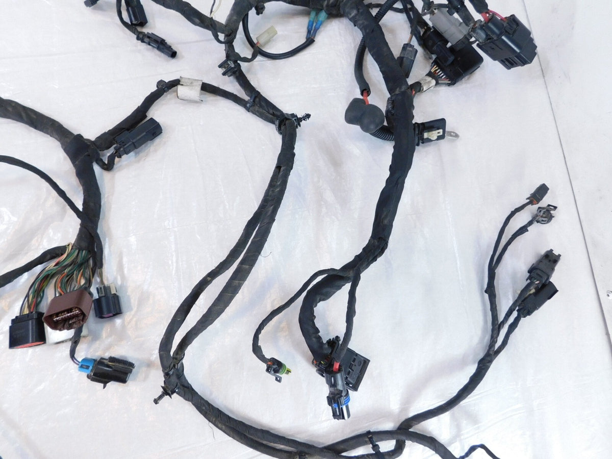 2018-2020 Harley Davidson Softail Low Rider & Fat Boy Main Wire Wiring Harness