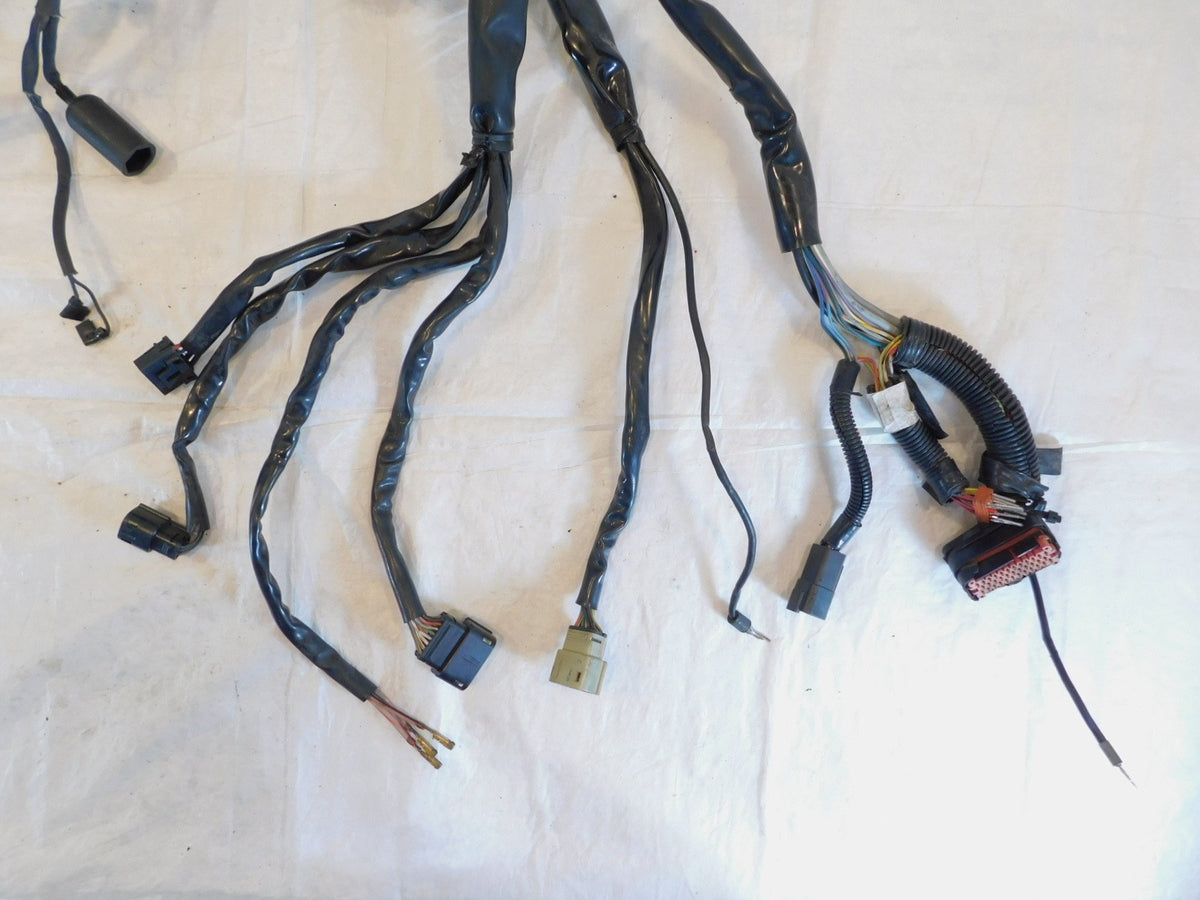 Harley Davidson Touring Road Street & Electra Glide Main Wire Wiring Harness - C3 Cycle