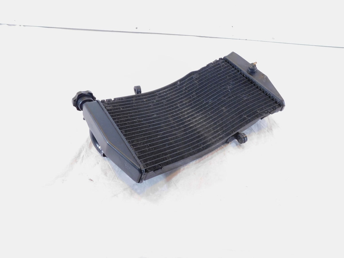 Honda CBR900RR CBR929RR FireBlade Engine Motor Water Cooling Coolant Radiator - C3 Cycle
