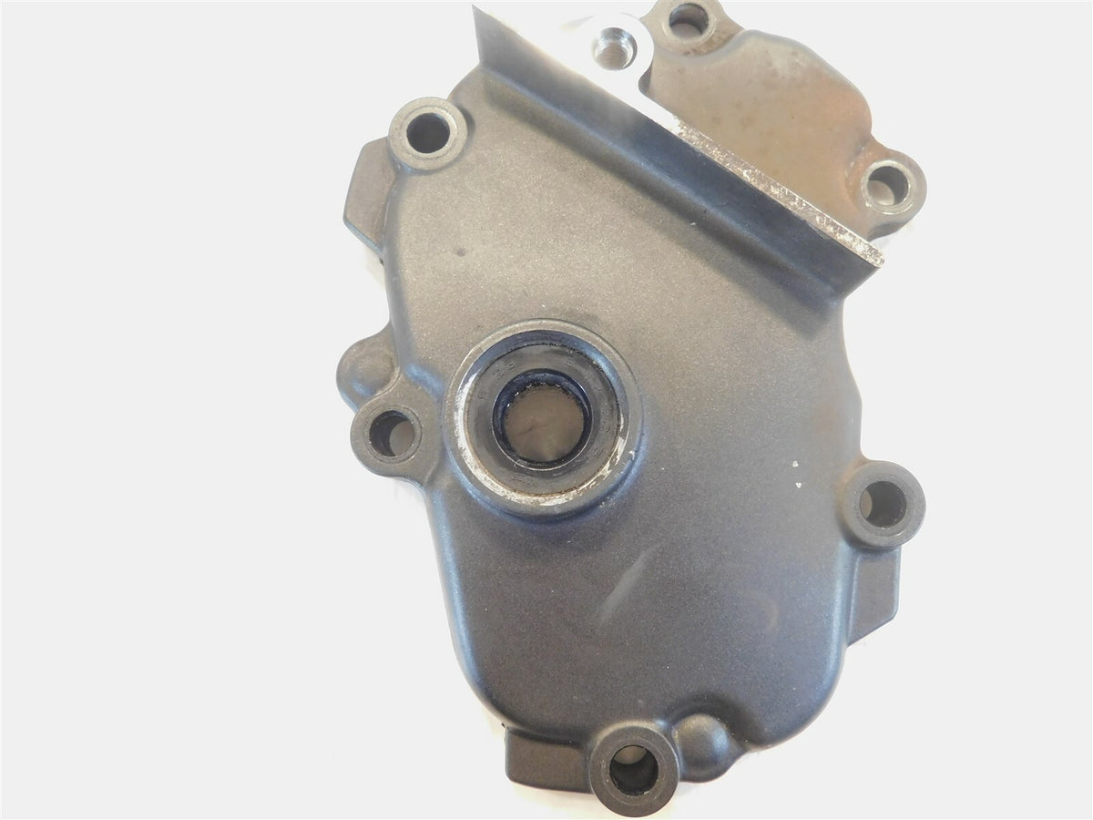 2006-2009 Yamaha FZ-6 FZ6 Left Side Engine Motor Crankcase Generator Cover Guard - C3 Cycle