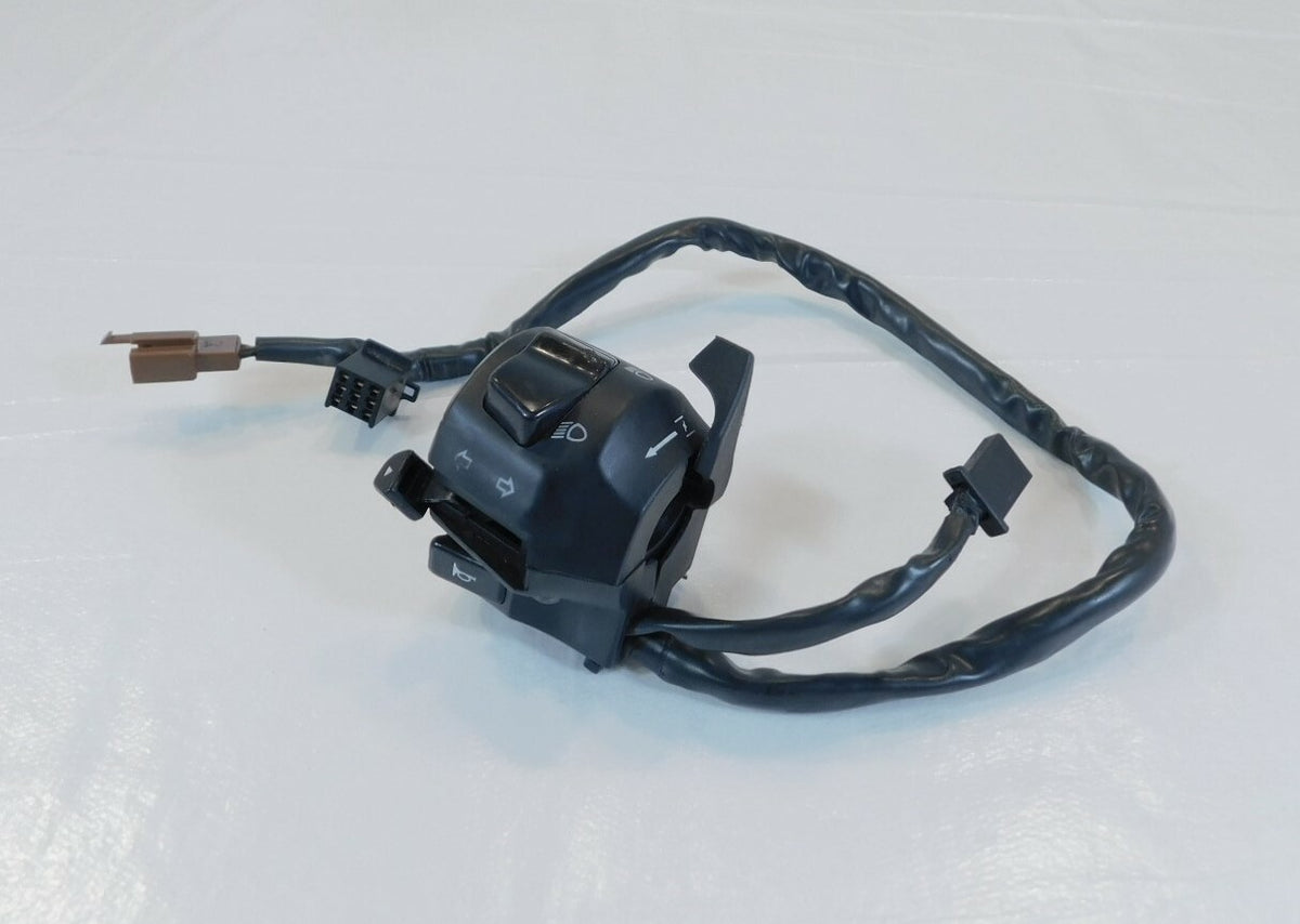2019 Royal Enfield Himalayan LS410 BS4 Left Handlebar Indicator & Horn Switches - C3 Cycle