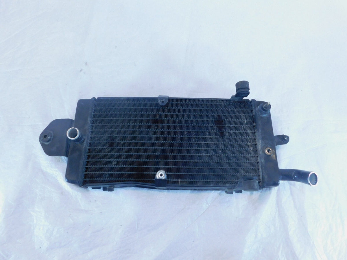 Honda Shadow 1100 VT1100 VT1100C VT1100C2 Sabre & Spirit Engine Coolant Radiator