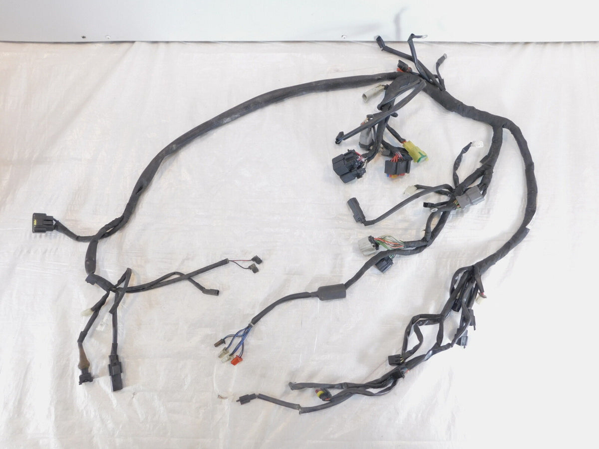 2015 & 2016 Harley Davidson Street 500 & 750 Main Wiring Wire Harness Loom - C3 Cycle