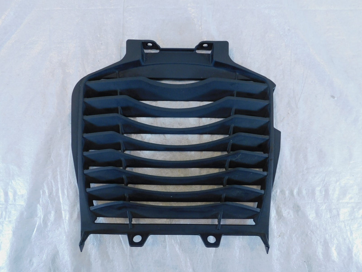 Indian Challenger Pursuit Limited & Dark Horse Front Chin Fairing Radiator Guard - C3 Cycle