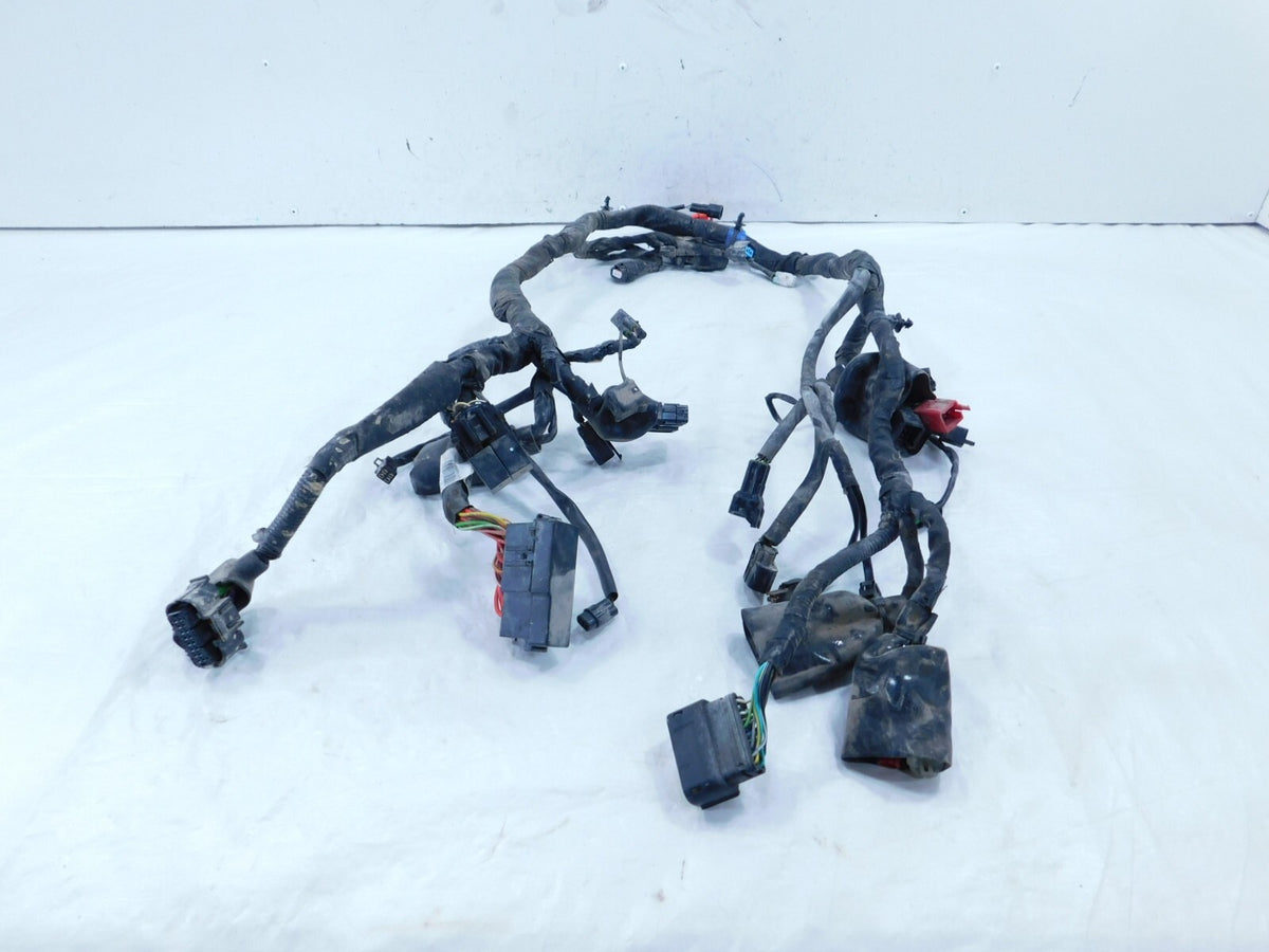 2021 21 Royal Enfield Himalayan 410 LS410 USA Main Wire Harness Wiring Loom - C3 Cycle