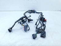 2021 21 Royal Enfield Himalayan 410 LS410 USA Main Wire Harness Wiring Loom - C3 Cycle