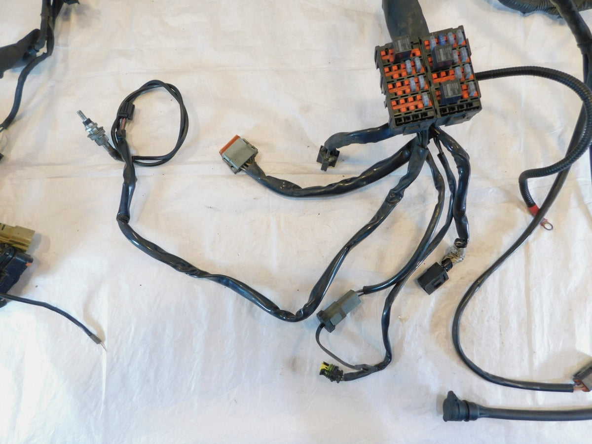 Harley Davidson Touring Road Street & Electra Glide Main Wire Wiring Harness - C3 Cycle
