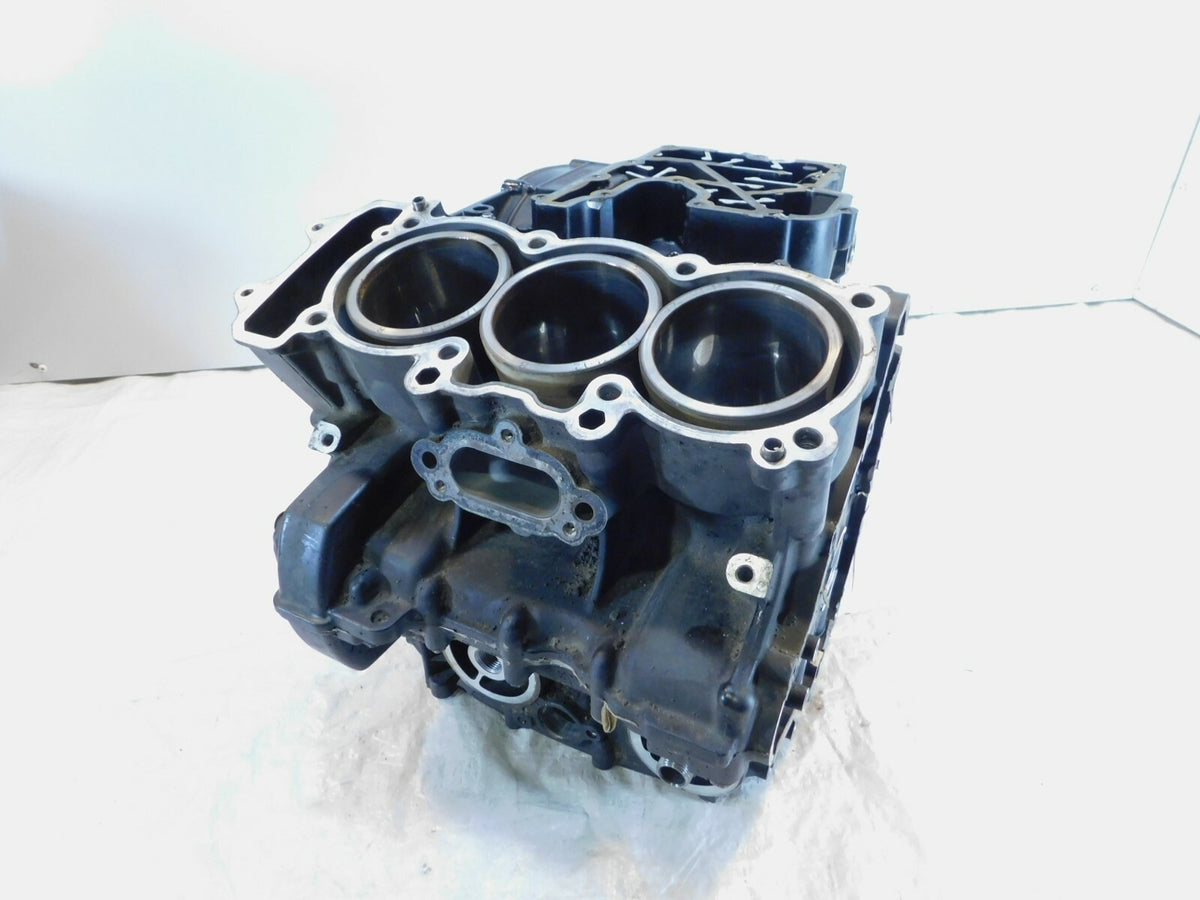 2011-2015 Triumph Tiger 800 800XC XC Engine Motor Block Crankcase Set - T1161849 - C3 Cycle