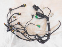 2019-2020 Aprilia Shiver SL900 900 Engine Wire Harness Cable Wiring Loom - C3 Cycle