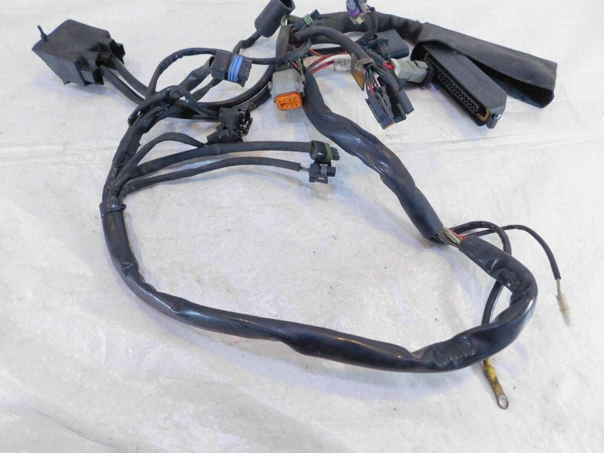 Harley Davidson Electra Glide Classic & Ultra Classic Fuel Injection EFI Harness - C3 Cycle