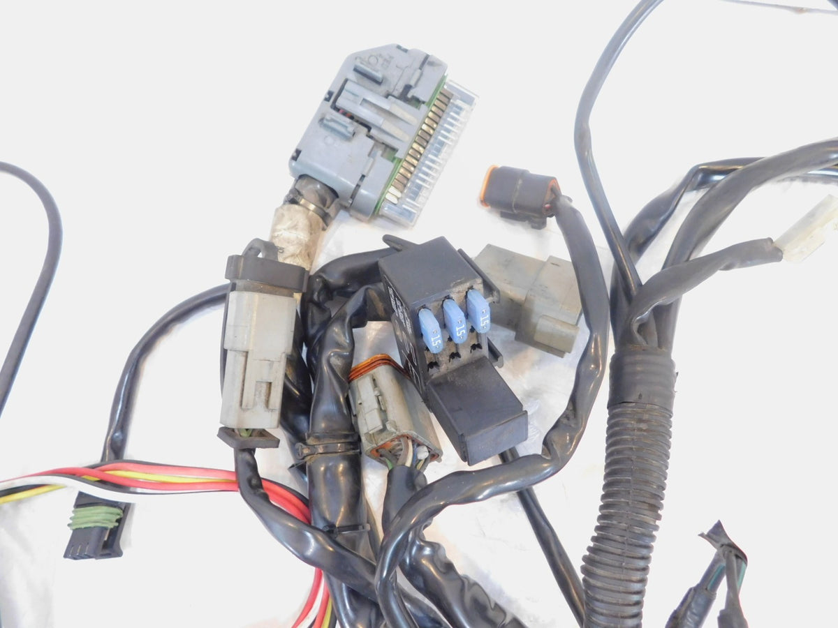 Harley Davidson Touring Road & Electra Glide Main & EFI Wiring Wire Harness Loom - C3 Cycle
