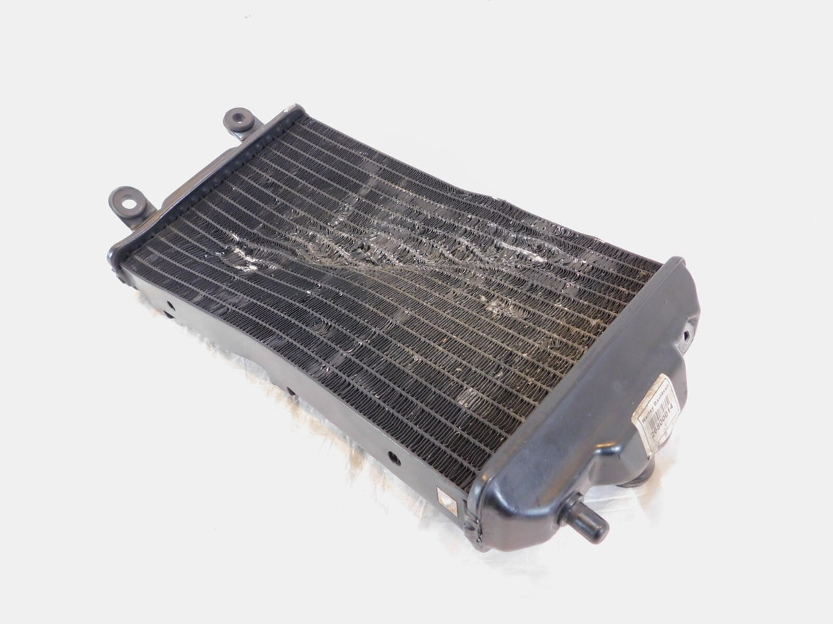2015-2020 Harley Davidson Street XG500 500 & XG750 750 Engine Coolant Radiator - C3 Cycle